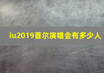 iu2019首尔演唱会有多少人