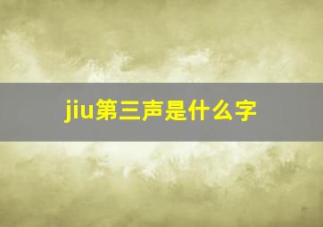 jiu第三声是什么字