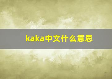 kaka中文什么意思