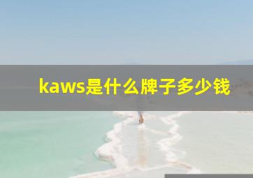 kaws是什么牌子多少钱