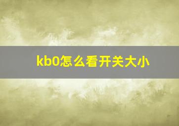 kb0怎么看开关大小