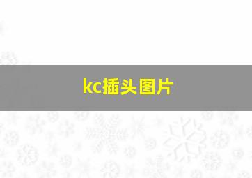 kc插头图片