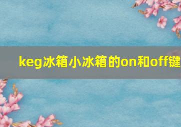 keg冰箱小冰箱的on和off键