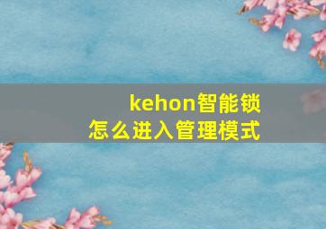 kehon智能锁怎么进入管理模式