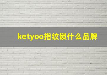 ketyoo指纹锁什么品牌