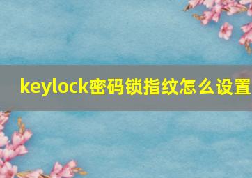 keylock密码锁指纹怎么设置