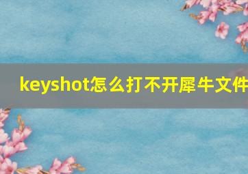 keyshot怎么打不开犀牛文件