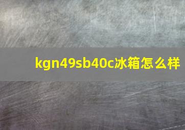 kgn49sb40c冰箱怎么样