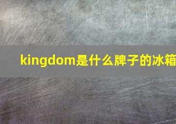 kingdom是什么牌子的冰箱