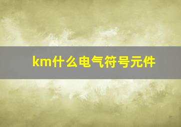 km什么电气符号元件