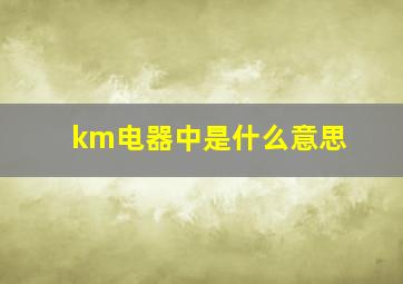 km电器中是什么意思