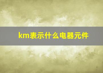 km表示什么电器元件