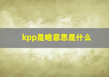 kpp是啥意思是什么