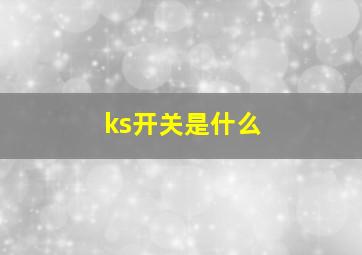 ks开关是什么