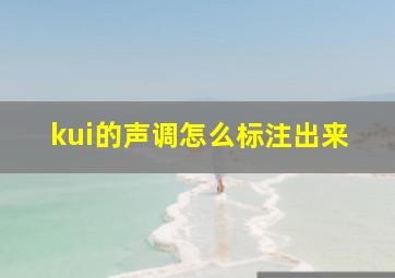 kui的声调怎么标注出来