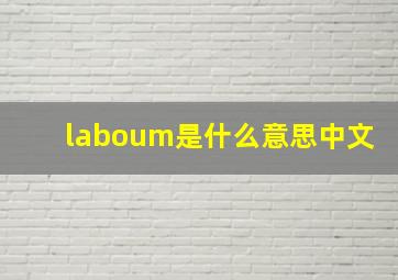 laboum是什么意思中文