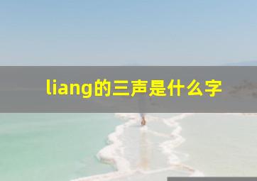 liang的三声是什么字