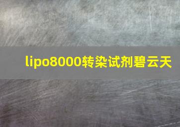 lipo8000转染试剂碧云天