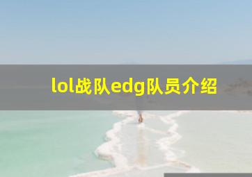 lol战队edg队员介绍