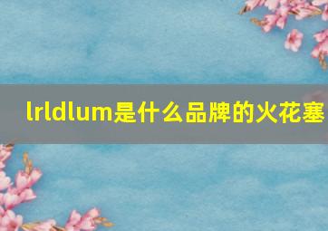 lrldlum是什么品牌的火花塞