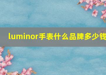 luminor手表什么品牌多少钱