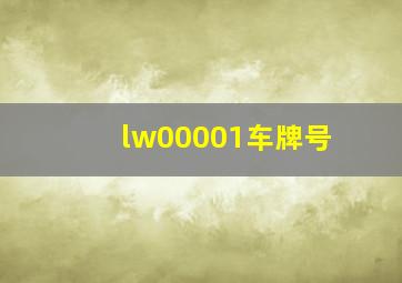 lw00001车牌号