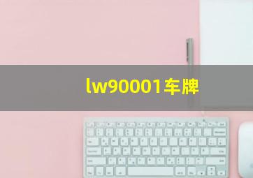 lw90001车牌