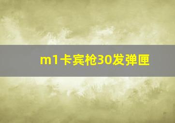 m1卡宾枪30发弹匣