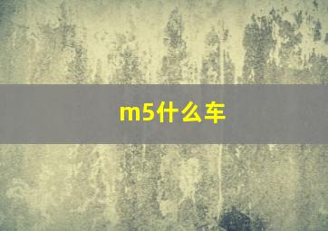 m5什么车