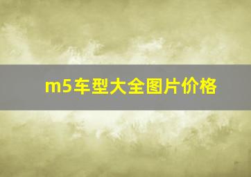 m5车型大全图片价格