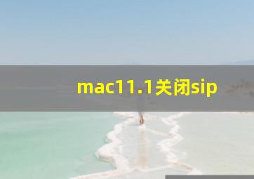 mac11.1关闭sip