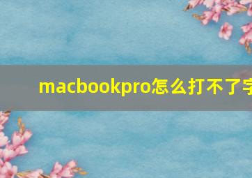 macbookpro怎么打不了字