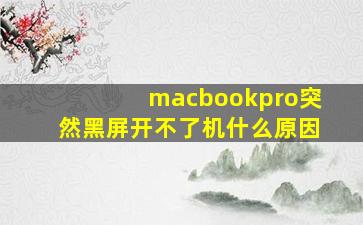 macbookpro突然黑屏开不了机什么原因