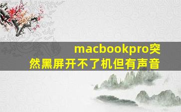 macbookpro突然黑屏开不了机但有声音