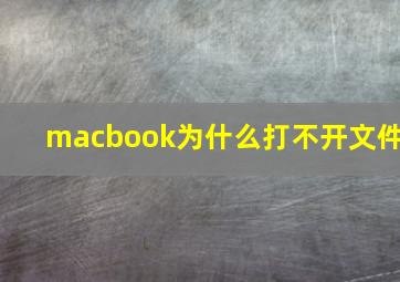 macbook为什么打不开文件