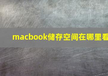 macbook储存空间在哪里看