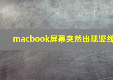 macbook屏幕突然出现竖线