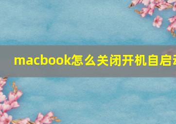 macbook怎么关闭开机自启动