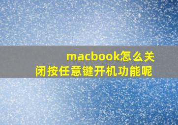 macbook怎么关闭按任意键开机功能呢