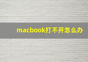 macbook打不开怎么办