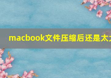 macbook文件压缩后还是太大