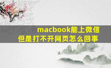 macbook能上微信但是打不开网页怎么回事