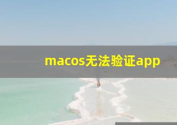 macos无法验证app