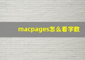 macpages怎么看字数