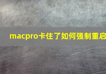 macpro卡住了如何强制重启