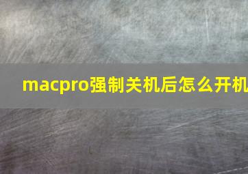 macpro强制关机后怎么开机