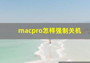 macpro怎样强制关机