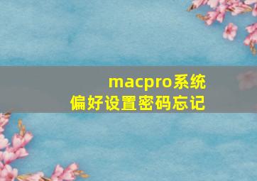 macpro系统偏好设置密码忘记