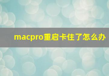 macpro重启卡住了怎么办