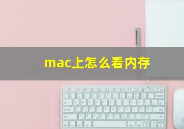 mac上怎么看内存